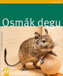 Obrázok Osmák degu - Jak na to