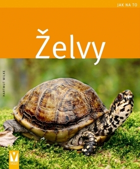 Obrázok Želvy - Jak na to