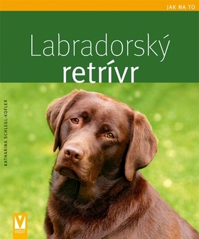 Obrázok Labradorský retrívr