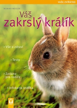 Obrázok Váš zakrslý králík