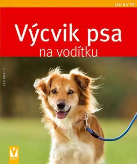 Obrázok Výcvik psa na vodítku