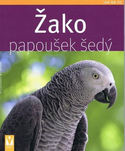 Obrázok Žako – papoušek šedý