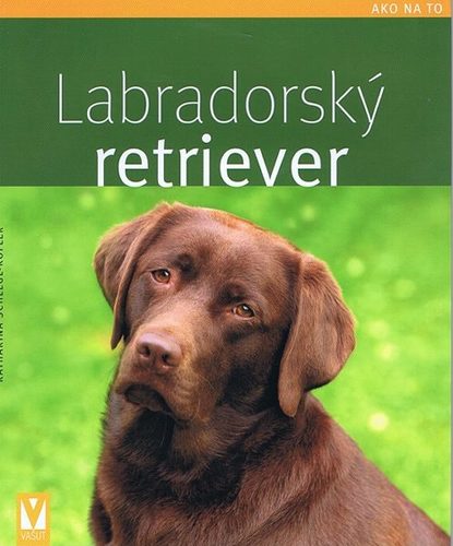 Obrázok Labradorský retriever