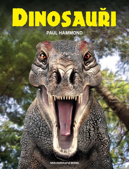 Obrázok Dinosauři