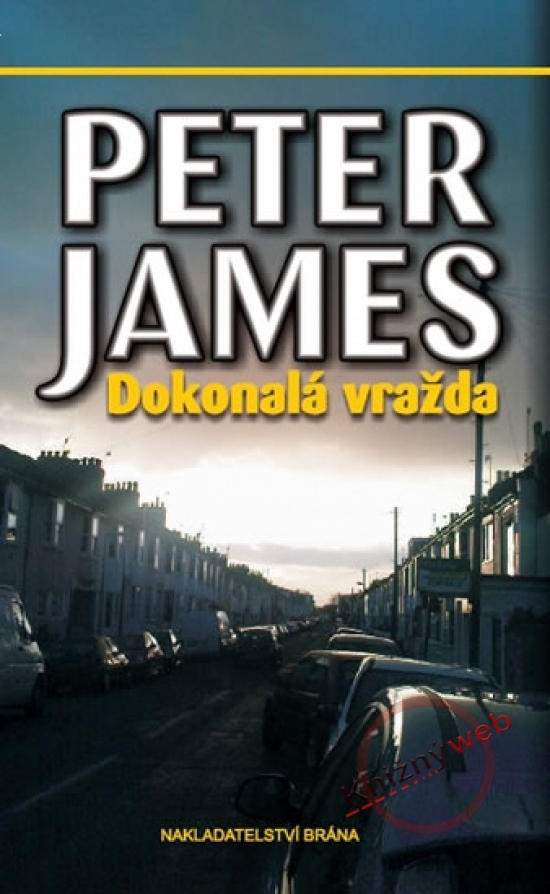Obrázok Dokonalá vražda