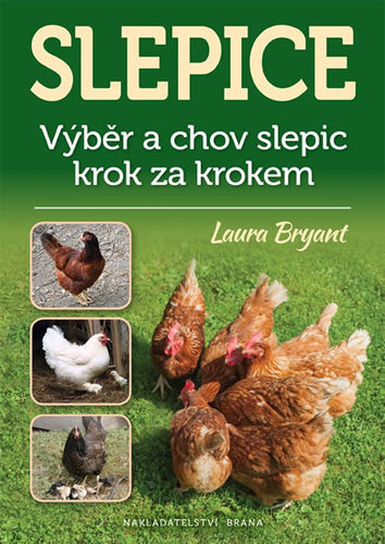 Obrázok Slepice - Výběr a chov slepic krok za krokem