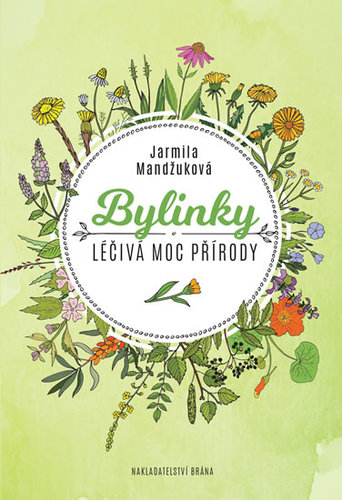 Obrázok Bylinky - Léčivá moc přírody