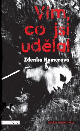 Obrázok Vím, co jsi udělal