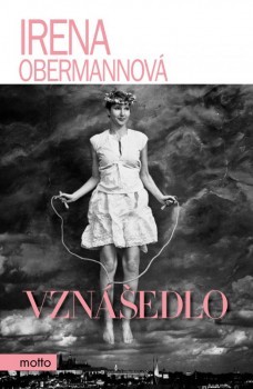 Obrázok Vznášedlo