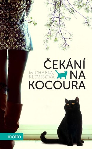 Obrázok Čekání na kocoura