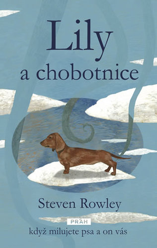 Obrázok Lily a chobotnice