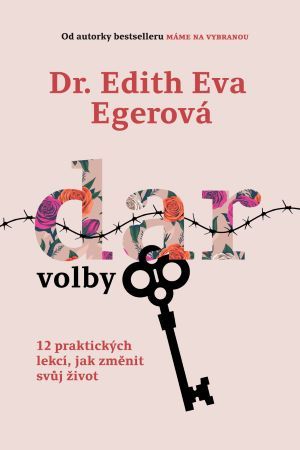 Obrázok Dar volby - 12 praktických lekcí, jak změnit svůj život