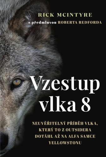 Obrázok Vzestup vlka 8 - Neuvěřitelný příběh vlka, který to z outsidera dotáhl až na alfa samce Yellowstonu