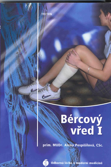 Obrázok Bércový vřed I.