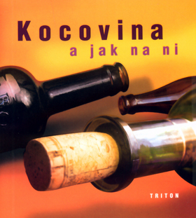 Obrázok Kocovina a jak na ní