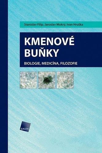 Obrázok Kmenové buňky