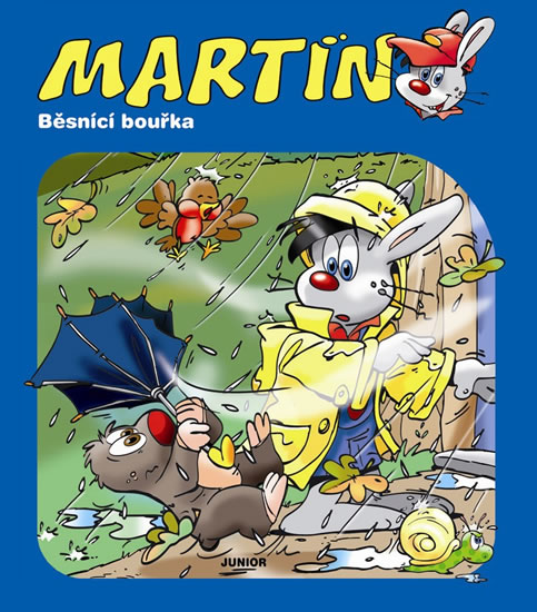 Obrázok Martin - Běsnící bouřka