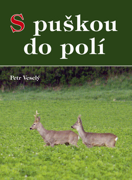 Obrázok S puškou do polí