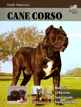 Obrázok Cane Corso