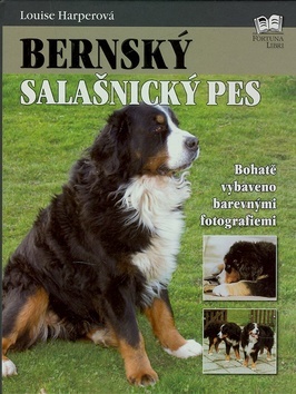 Obrázok Bernský salašnický pes