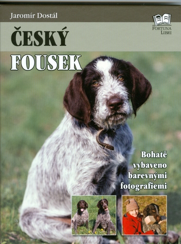 Obrázok Český fousek