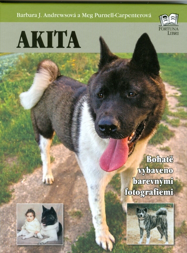 Obrázok Akita