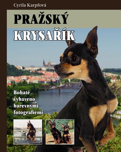 Obrázok Pražský krysařík