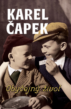 Obrázok Obyčejný život