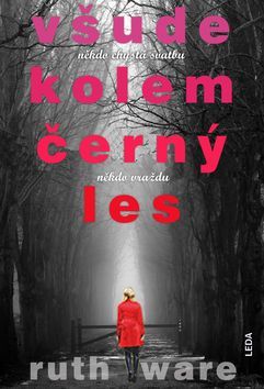 Obrázok Všude kolem černý les