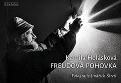 Obrázok Freudova pohovka