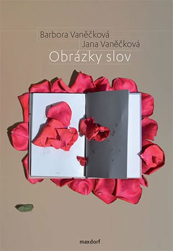 Obrázok Obrázky slov