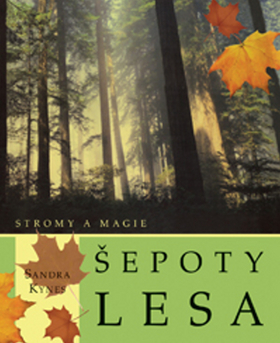Obrázok Šepoty lesa