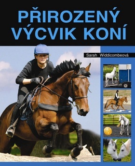 Obrázok Přirozený výcvik koní