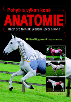 Obrázok Pohyb a výkon koně - Anatomie