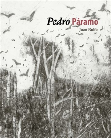 Obrázok Pedro Páramo