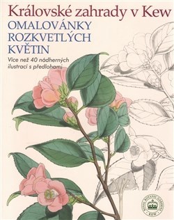 Obrázok Královské zahrady v Kew - Omalovánky rozkvetlých květin