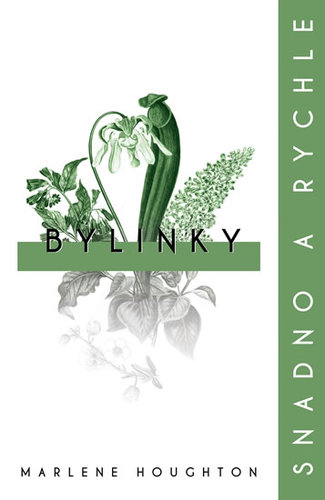 Obrázok Bylinky: snadno a rychle