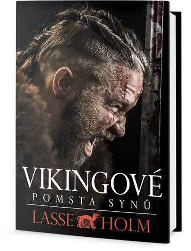 Obrázok Vikingové - Pomsta synů