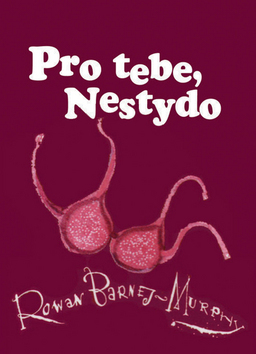 Obrázok Pro tebe, nestydo