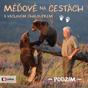 Obrázok Méďové na cestách PODZIM