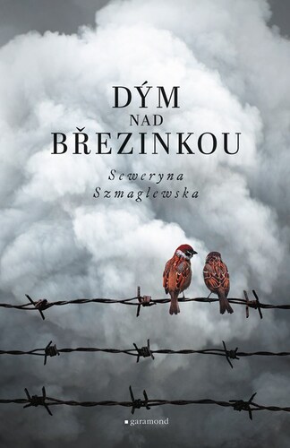 Obrázok Dým nad Březinkou