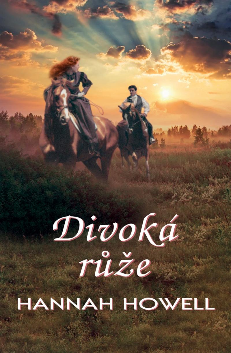 Obrázok Divoká růže