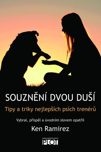 Obrázok Souznění dvou duší - Tipy a triky nejlep