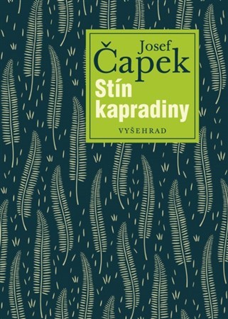 Obrázok Stín kapradiny 