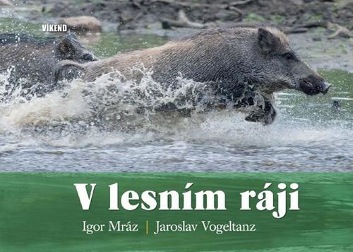 Obrázok V lesním ráji