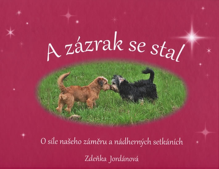 Obrázok A zázrak se stal