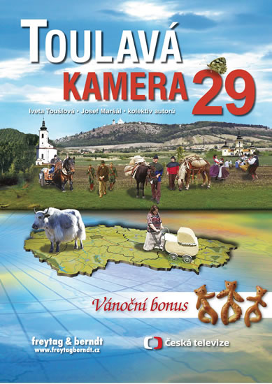 Obrázok Toulavá kamera 29