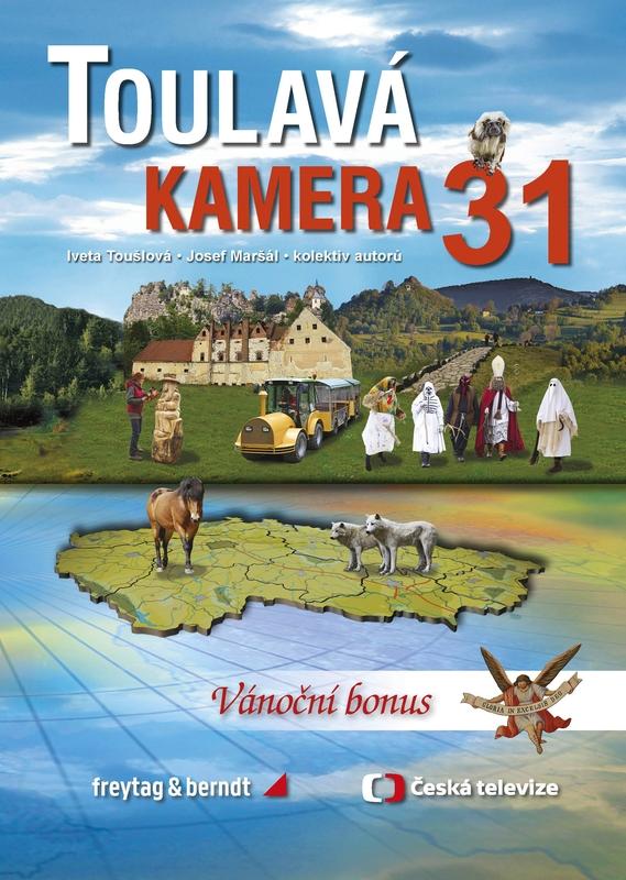Obrázok Toulavá kamera 31