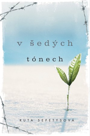 Obrázok V šedých tónech