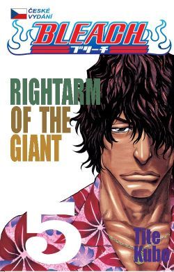 Obrázok Bleach 5